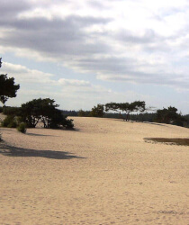 Natuur Soest